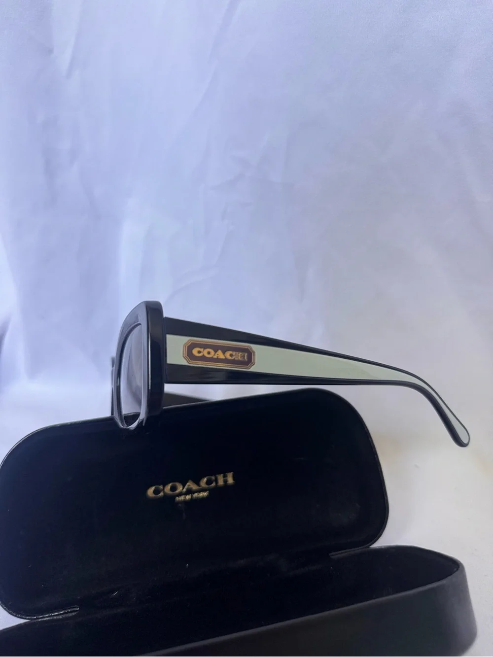 Coach Black Oversized Rectangular Women’s Sunglasses